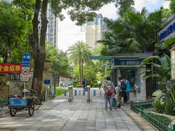 深圳龙华观澜招商澜园(南区)笋盘!保真!