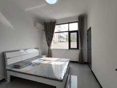 许昌禹州禹州城区整租 新上大禹像附近标准一室一厅家电齐全停车方便随时看房出租房源真实图片