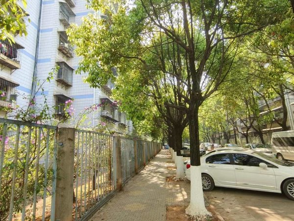 昆明官渡官南大道怡园小区官南大道怡园小区2室带家具家电中层采光好