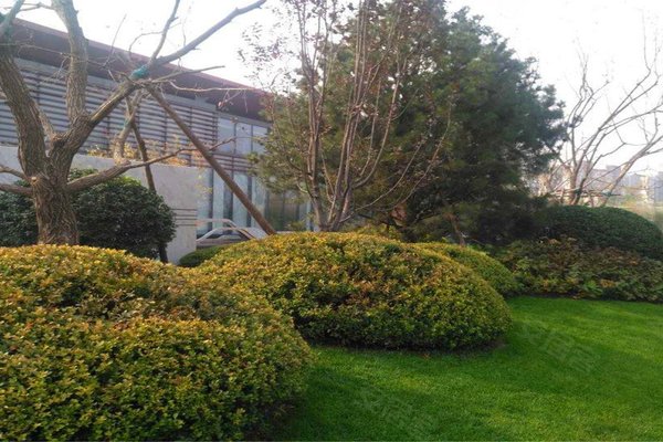 富力首开金禧璞瑅