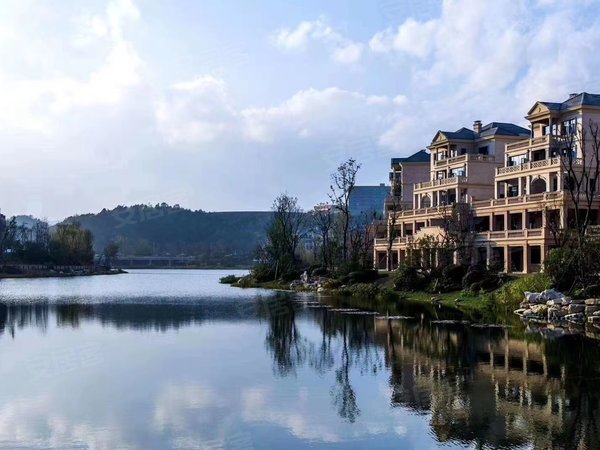 贵阳乌当保利公园保利公园2010约克郡保利公园精装独栋别墅 带电梯 全