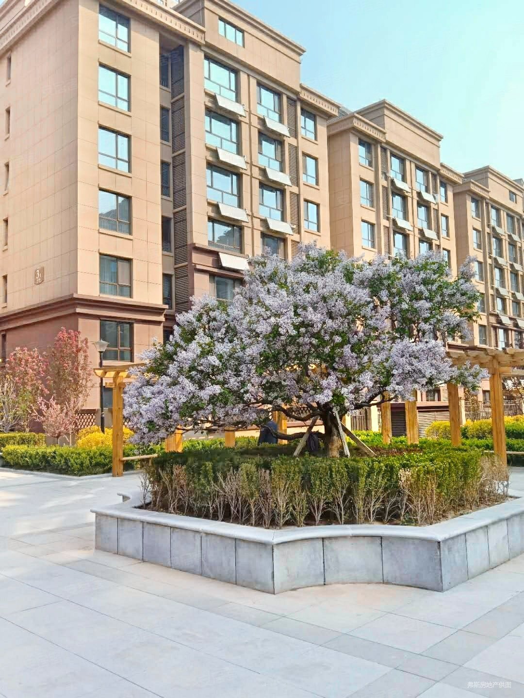 天津房产网>天津二手房>武清二手房>大王古庄镇二手房>瑞泽家园>