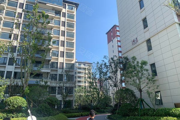 新华学府庄园,三清路,近城泉路-阜阳新华学府庄园二手房,租房-阜阳