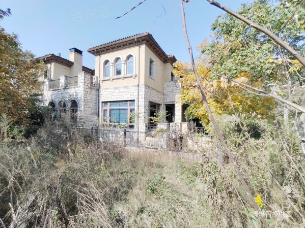 绿城桃李春风别墅独栋别墅正规商品房朝南绿城置换