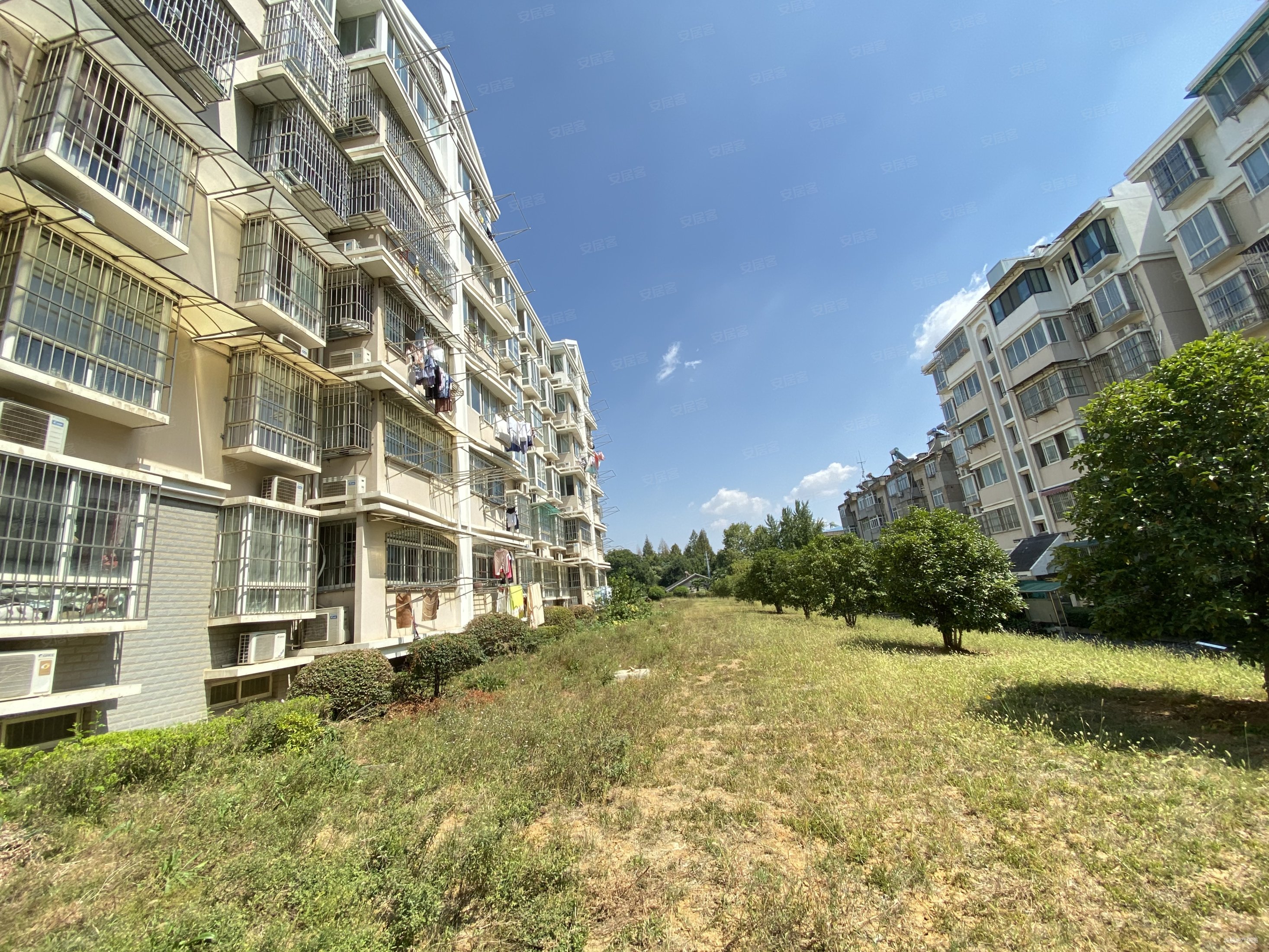 东景花园婚装环境好房龄05年二号线钟灵街成熟板块