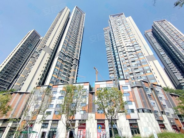 深圳布吉丹竹头里城玺樾山里城玺樾山 户型 四房两卫 拎包入住出租
