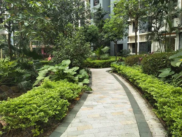 深圳龙华大浪龙军花园新出!深圳北站旁,电梯花园小区,精装3房出租!