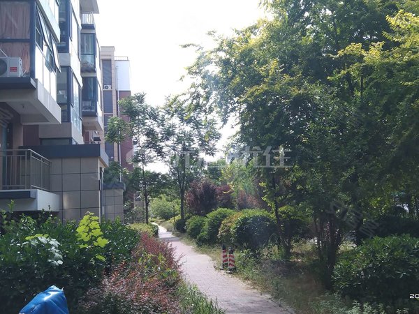 青岛莱西水集香格丽苑精装婚房未住南北通透出租房源真实图片