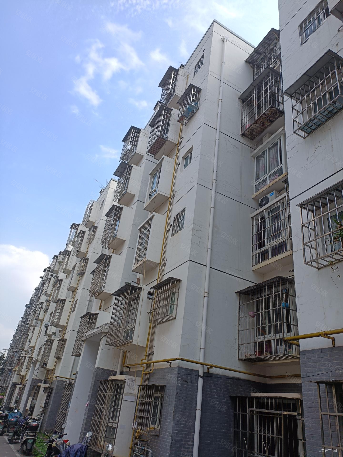 2010年楼龄西船大院健康4楼8中东钥匙随时看房