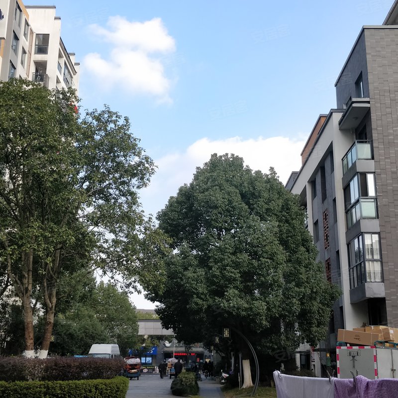 栢景雅居丹桂轩