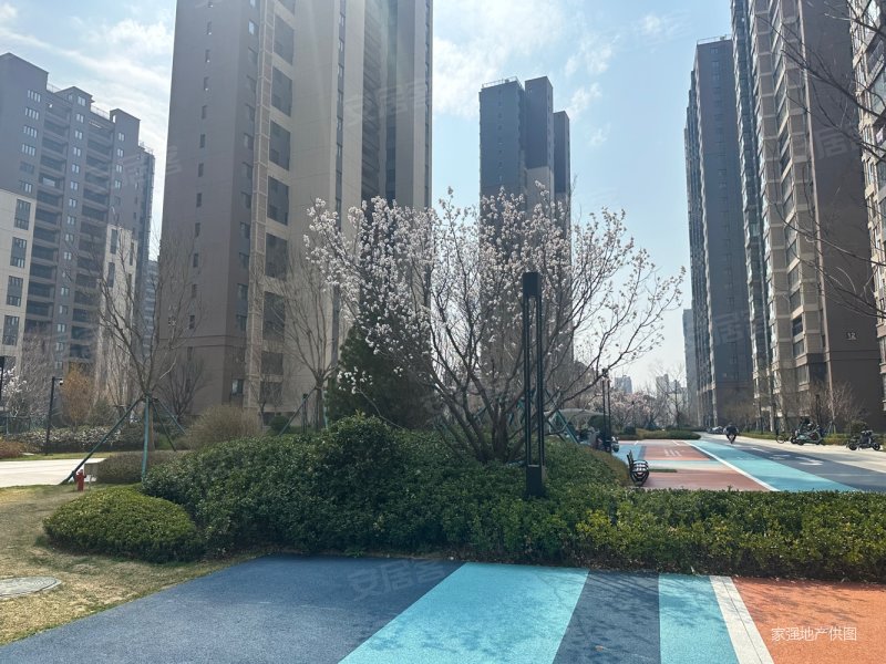 海岸万科城5号地块探梅里二手房,101万,3室2厅,2卫,116平米-青岛安居