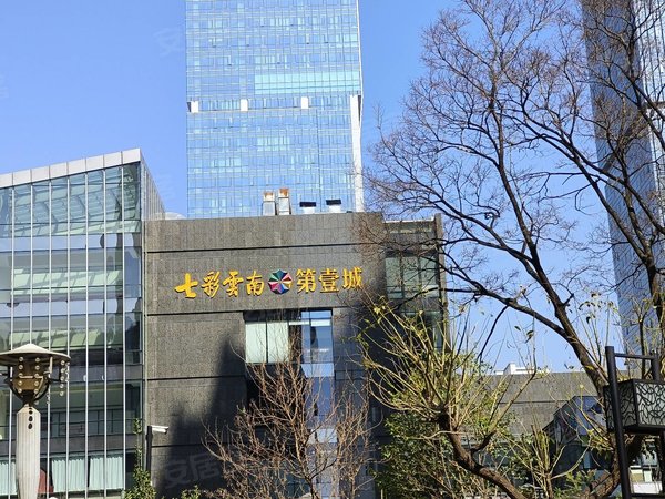 昆明呈贡市政府七彩云南第壹城急租,市政府对面,驼峰街地铁口,实力心