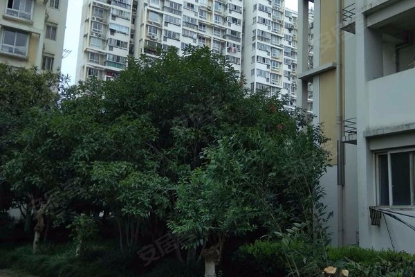 杨浦欣园(西区)