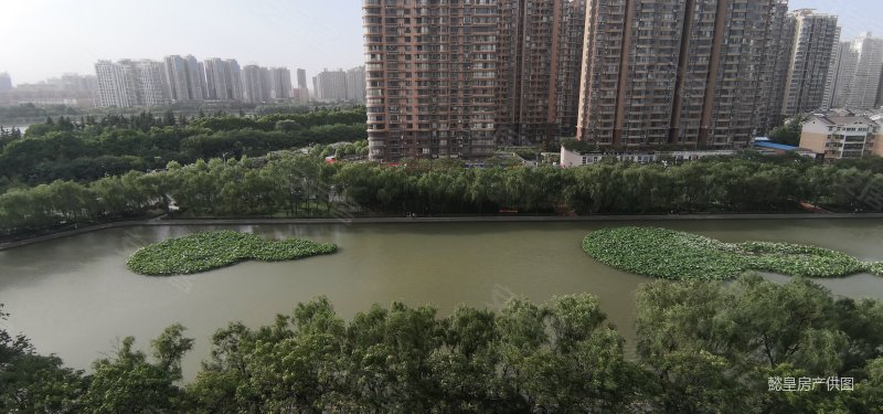 西苑桥附近河洛文化村 采光好 好楼层十全十美