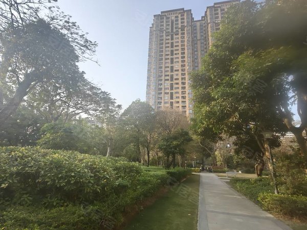 【多图】深业东城御园,坑梓租房,聚龙山公园地铁口深业御园交通便利可