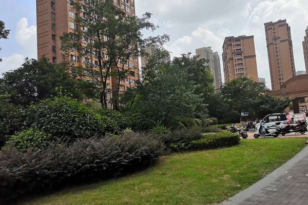 梧桐香郡(西区)