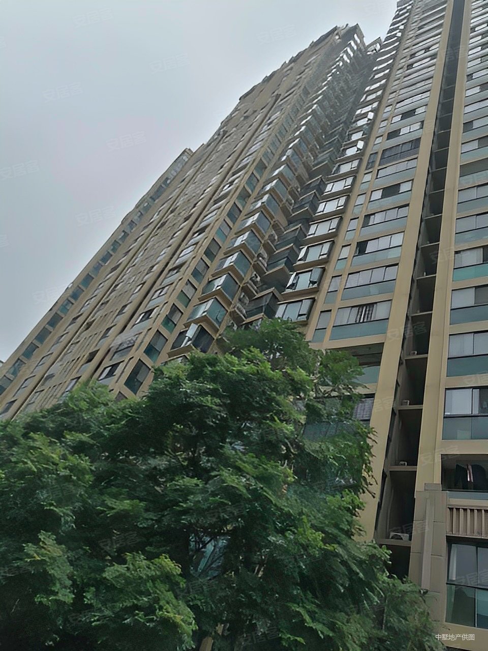金色梧桐板楼小区新中间楼层采光好近地铁大两房