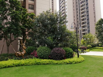 南山丰景花园(一期)周边房产中介经纪人评价-广州安居客