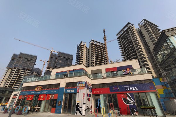 川港合作示范园,天府大道-成都川港合作示范园二手房,租房-成都安居客