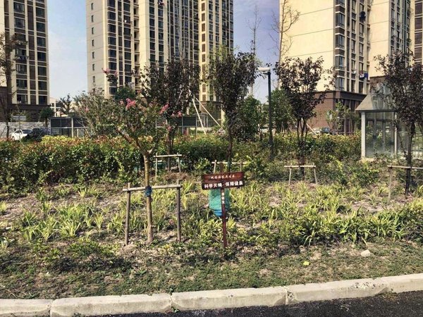 上海崇明城桥明南佳苑金山新城超值好房便宜出租了!急急急!