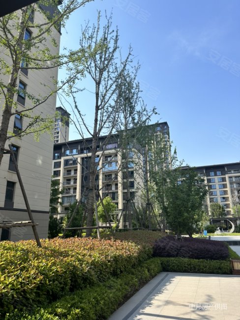 四室大宽厅可分期,建业洛邑府二手房,77万,4室2厅,2卫,142平米-洛阳