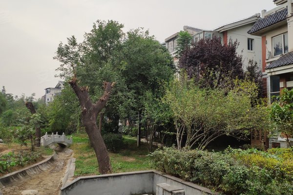 水映唐庄(别墅),开元路