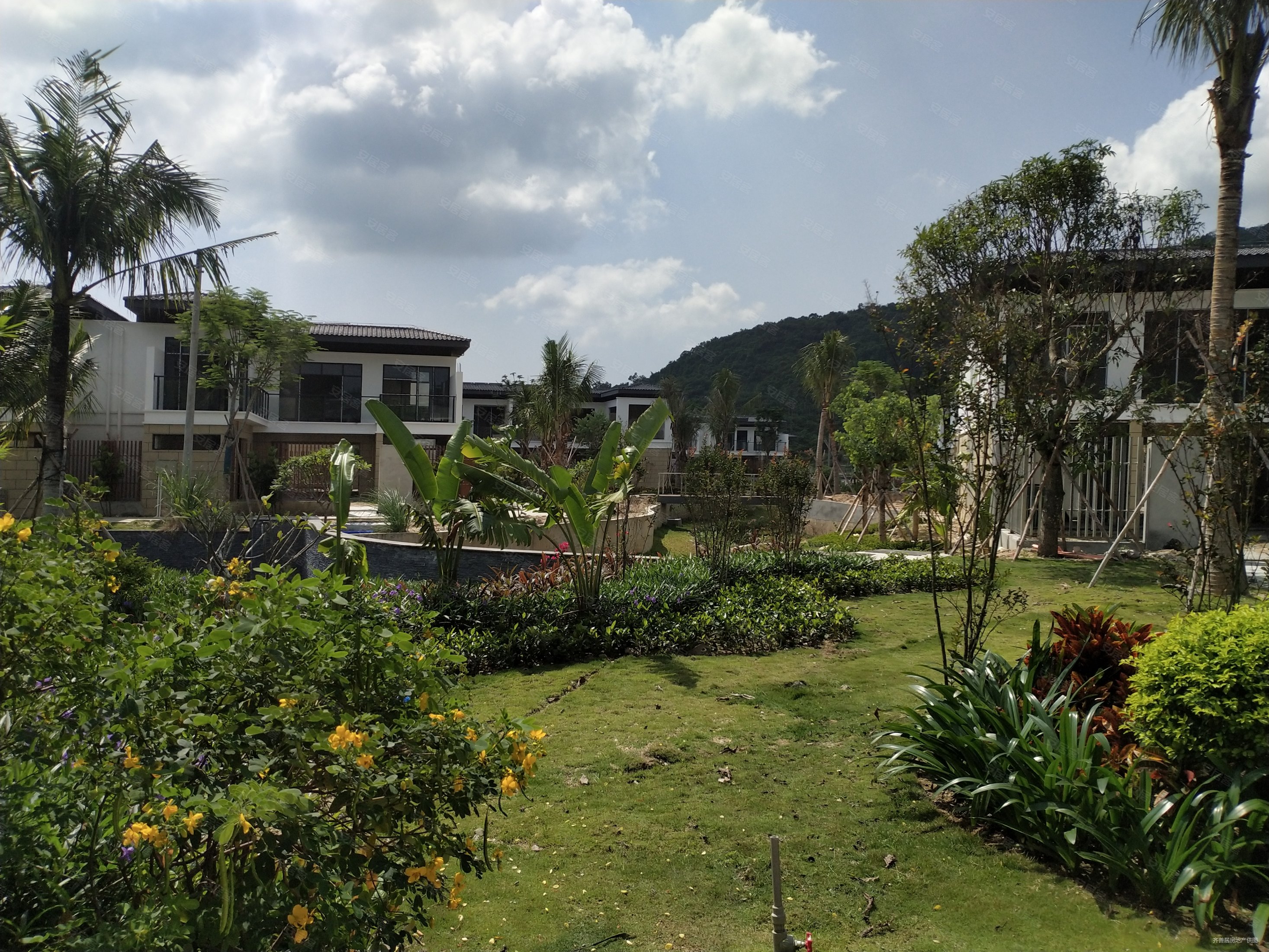 石梅春墅(长寿之乡) 独栋别墅 赠送花园 温泉入户 养生福地