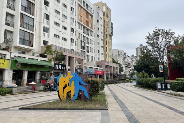 万科四季花城西半岛