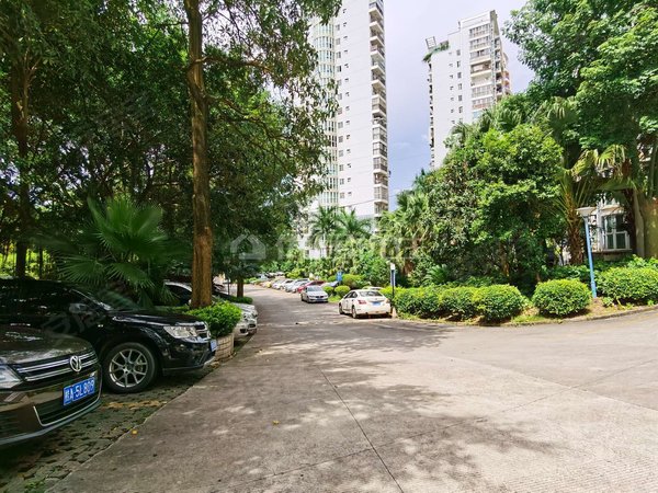 南宁青秀柳沙柳沙丽园江景前排 公园景观 两梯两户 装修保养新 配齐