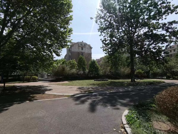 青岛李沧沧口公园翠海宜居沧口公园 翠海宜居 小高 套二 精装 1900议