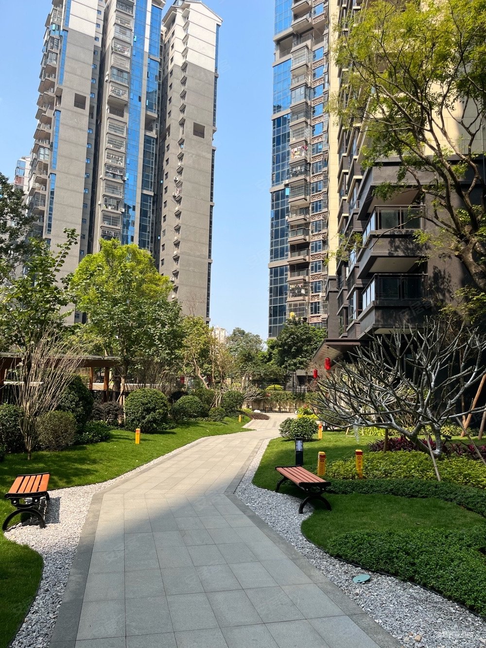 蟠龙板块盛邦双悦湾11楼3房朝南视野好走一手流程