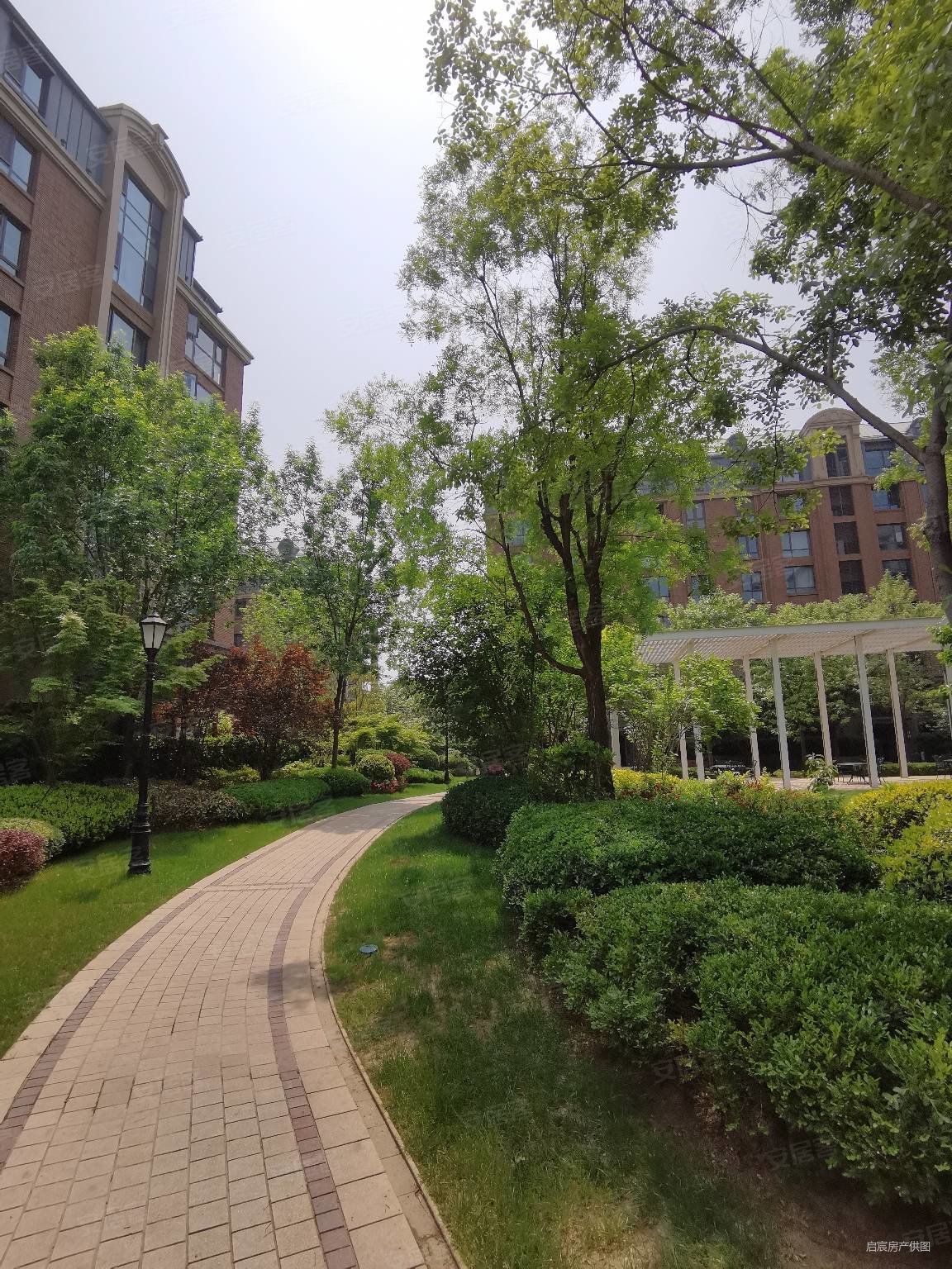 普罗旺世龙之梦西苑