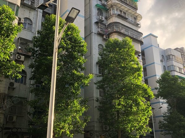 广州黄埔大沙地怡园小区(黄埔)怡园小区  近地铁 电梯二房 安静不吵