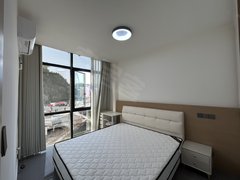 巴中巴州老城凤凰国际城全屋智能1室一厅精装出租房源真实图片