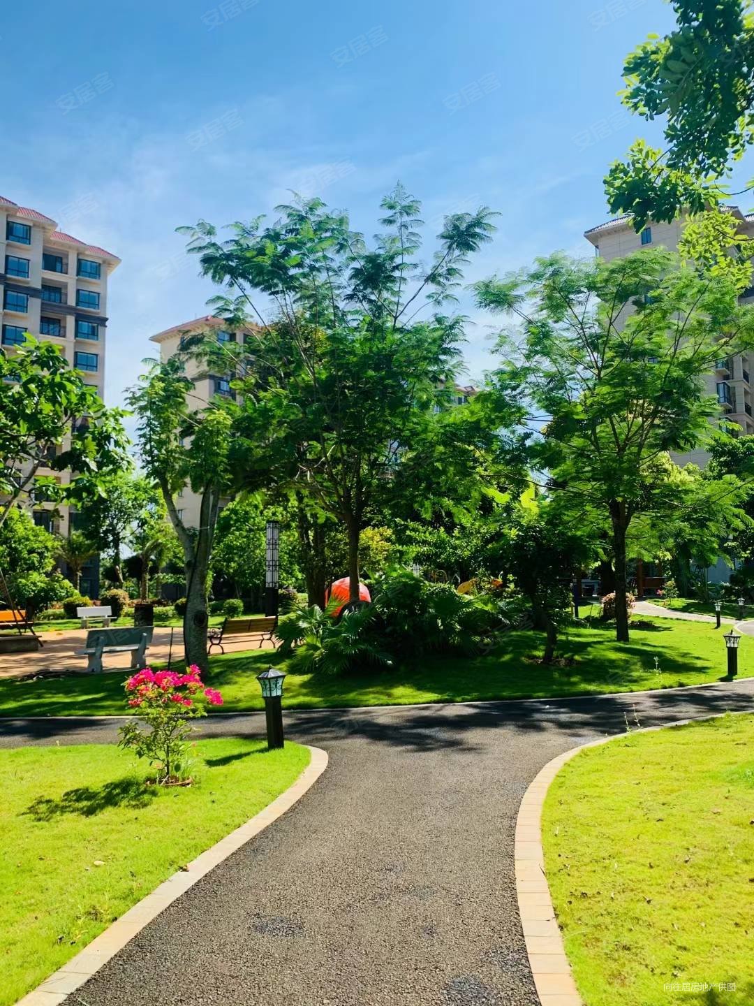 机场椰海润景60平2房精装现房成熟配套南北通透