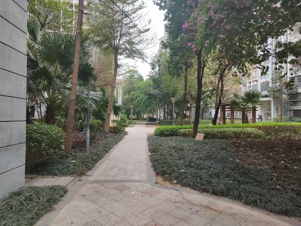 南宁兴宁东沟岭金源橘子郡16张可以租