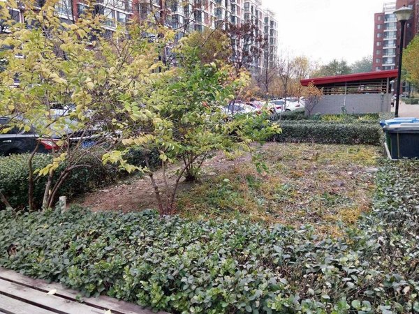 北京海淀马连洼柳浪家园北里新增柳浪家园北里精装两居12月底到期看房