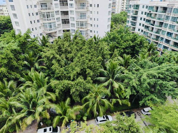 【多图】碧海蓝天(一二期),三亚湾租房,碧海蓝天两房一卫夏季短租