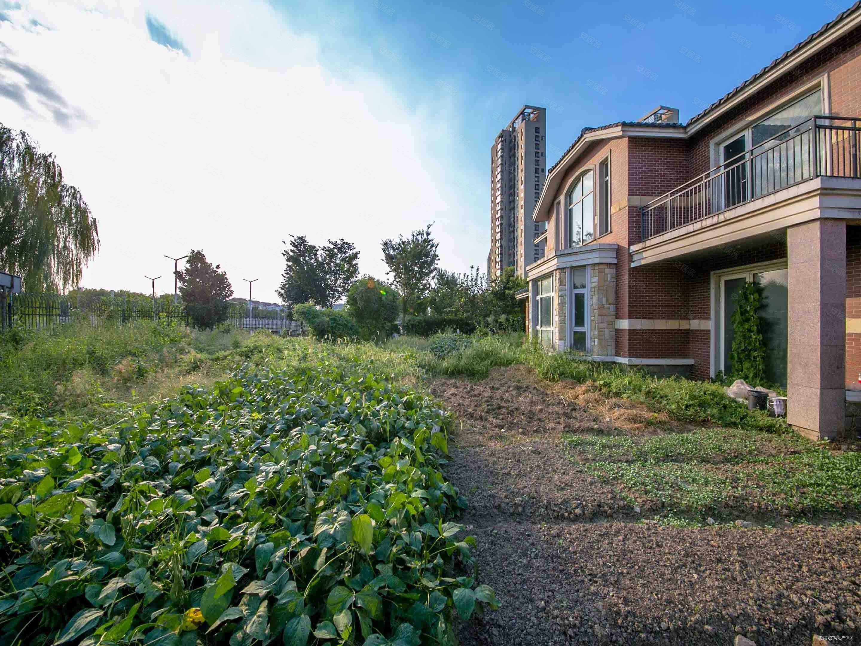 丽滩别墅6室3厅6卫623㎡南北1688万