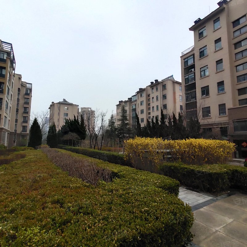 【国大东方天韵, 国大东方天韵小区专家解读页】- 潍坊58同城