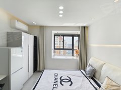 苏州工业园车坊东方文荟苑 精装酒店式公寓一居室 近桑田岛华为基地 金螳螂出租房源真实图片