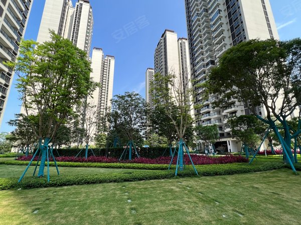 肇庆鼎湖肇庆新区招商依云水岸依云水岸95方3房2厅2卫,拎包入住,租