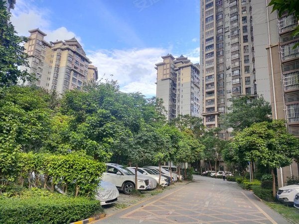 南宁西乡塘新阳台湾街宜兰湾小区环境优美,交通方便,江景房,房子干净