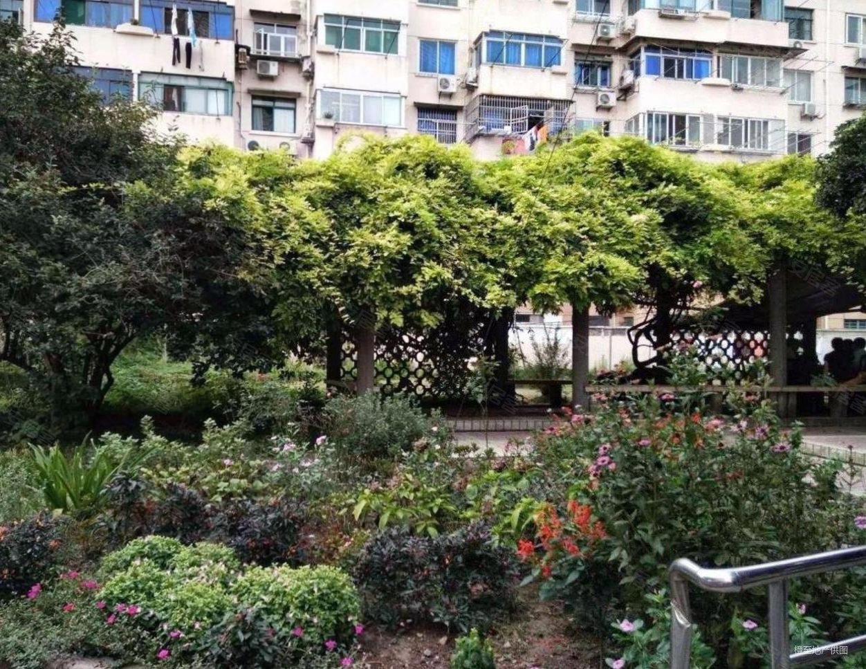 双柏小区精装修业主着急出售图片真实