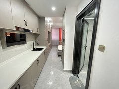 桐乡桐乡市区庆丰中路庆丰小区精装修1室1卫出租房源真实图片