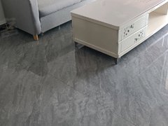 六安金安政务中心瑞梦花园二期 2室1厅1卫出租房源真实图片