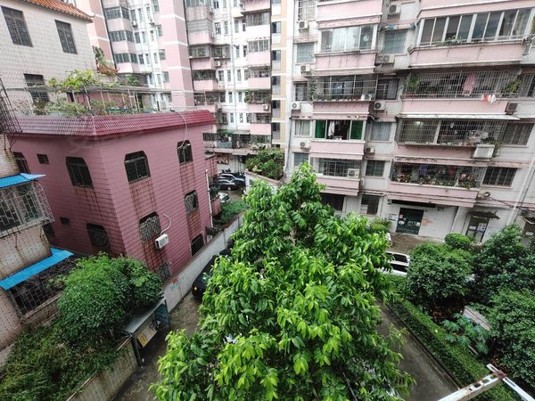 广州荔湾芳村芳村公安宿舍芳村茶滘 公安宿舍小区 有电梯 安静位置 精