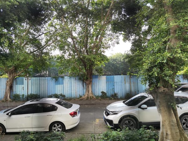 广州番禺大石金城花园金城花园 低楼层小区 交通便利 购物方便出租