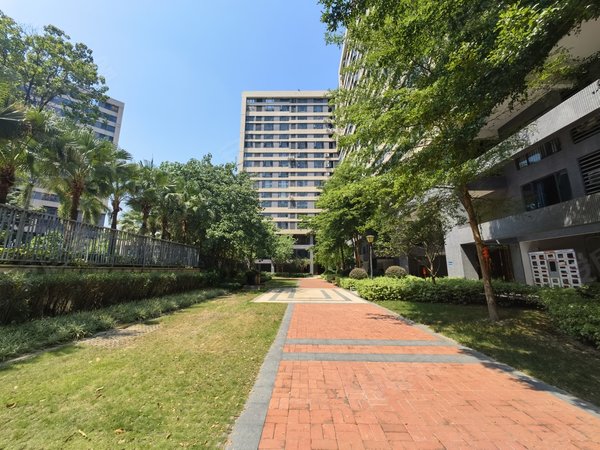 广州花都镜湖大道碧桂园星港国际全新装修 精装一房 碧桂园星港国际出租房源真实图片