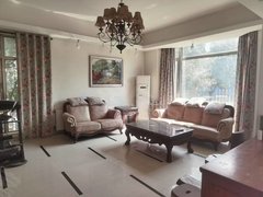 长沙星沙星沙大道靠路边停车无限方便碧桂园4室2厅4卫小独栋别墅 居家经营都合出租房源真实图片